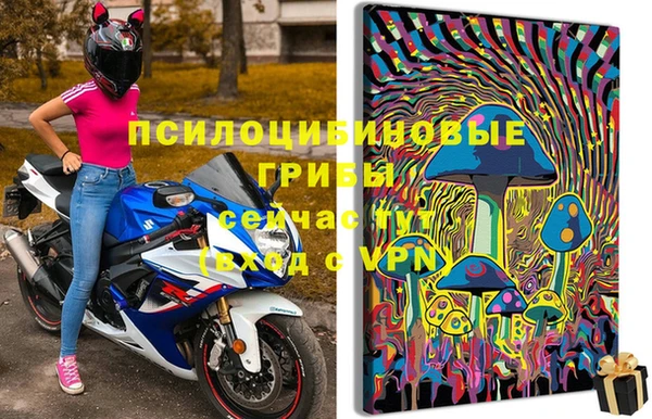 а пвп мука Богданович