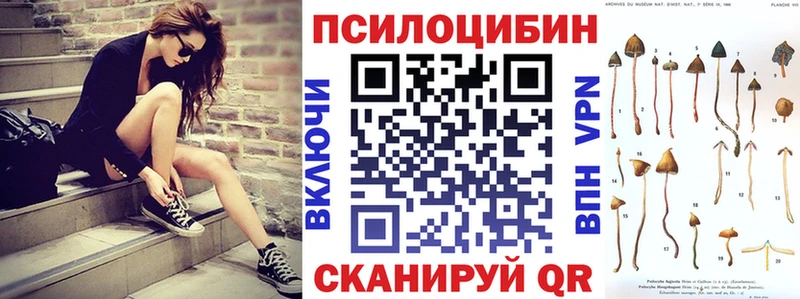 Псилоцибиновые грибы прущие грибы  Малоярославец 